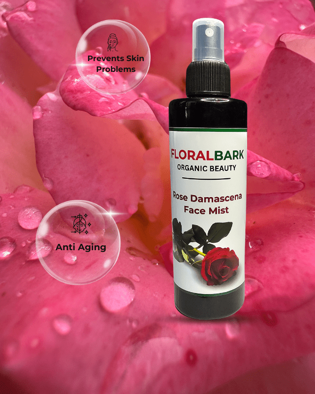 Top-rated rose water products for skincare in India